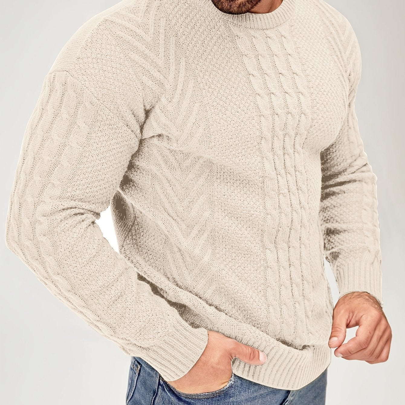 Men's Autumn and Winter Fashion Knit Crew Neck Pullover Warm Casual Sweater