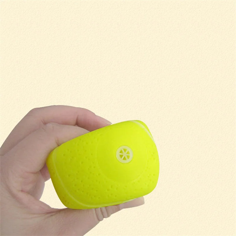 Squeaky Rubber Dog Ball Toy – Interactive Chew Toy for Small Dogs