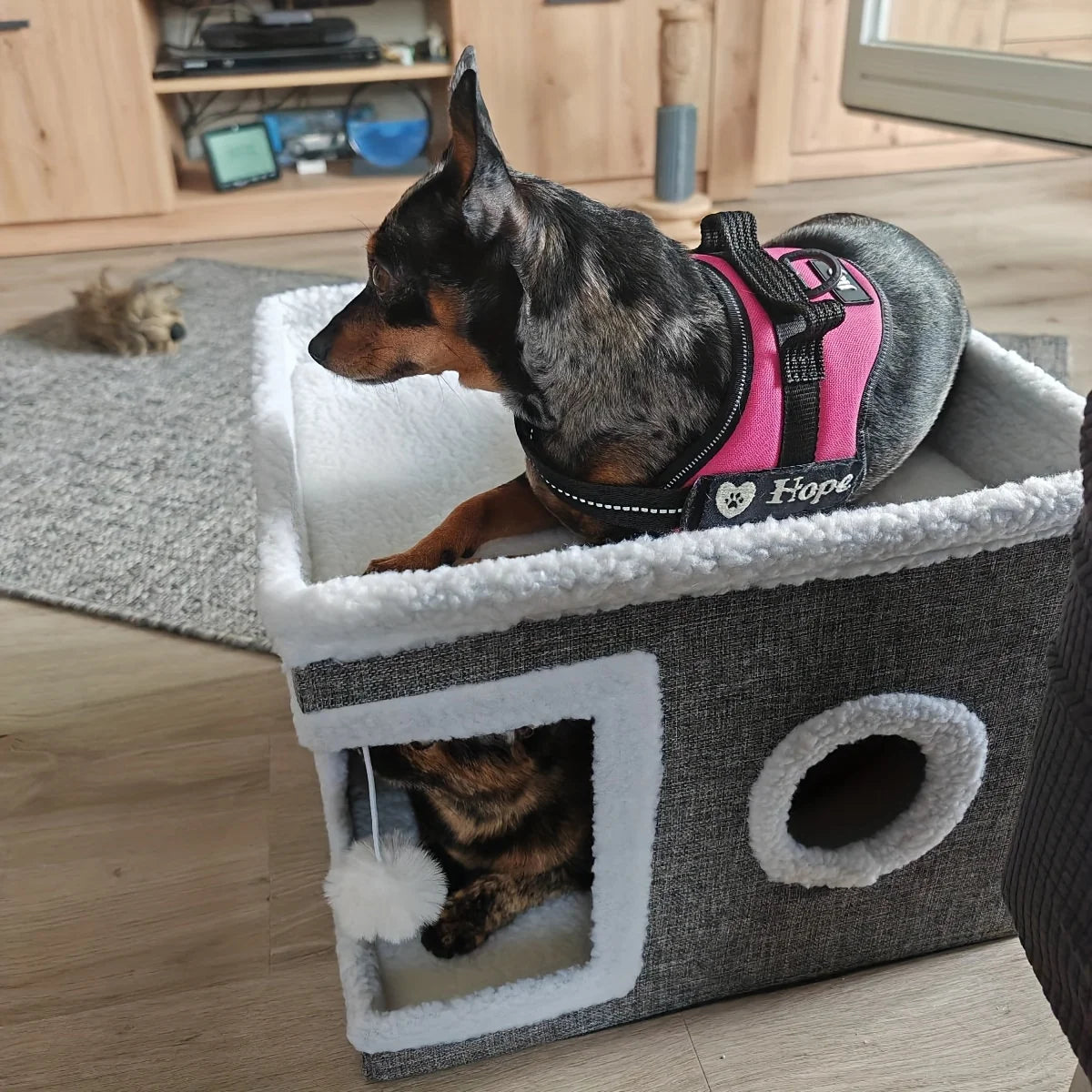 4-Season Multi-Level Cat House – Foldable Cat Cave Bed with Scratching Board