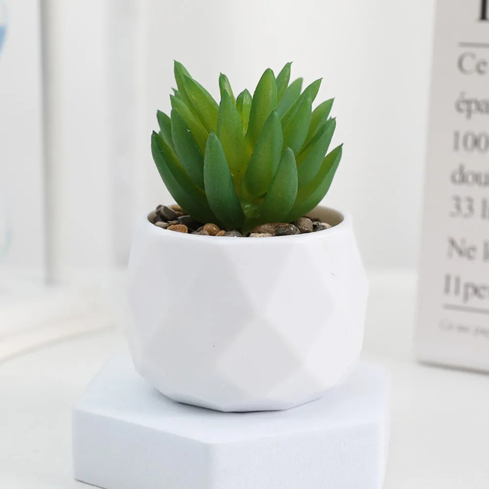 Artificial Succulent Bonsai Plant – Mini Decorative Fake Cactus & Succulent