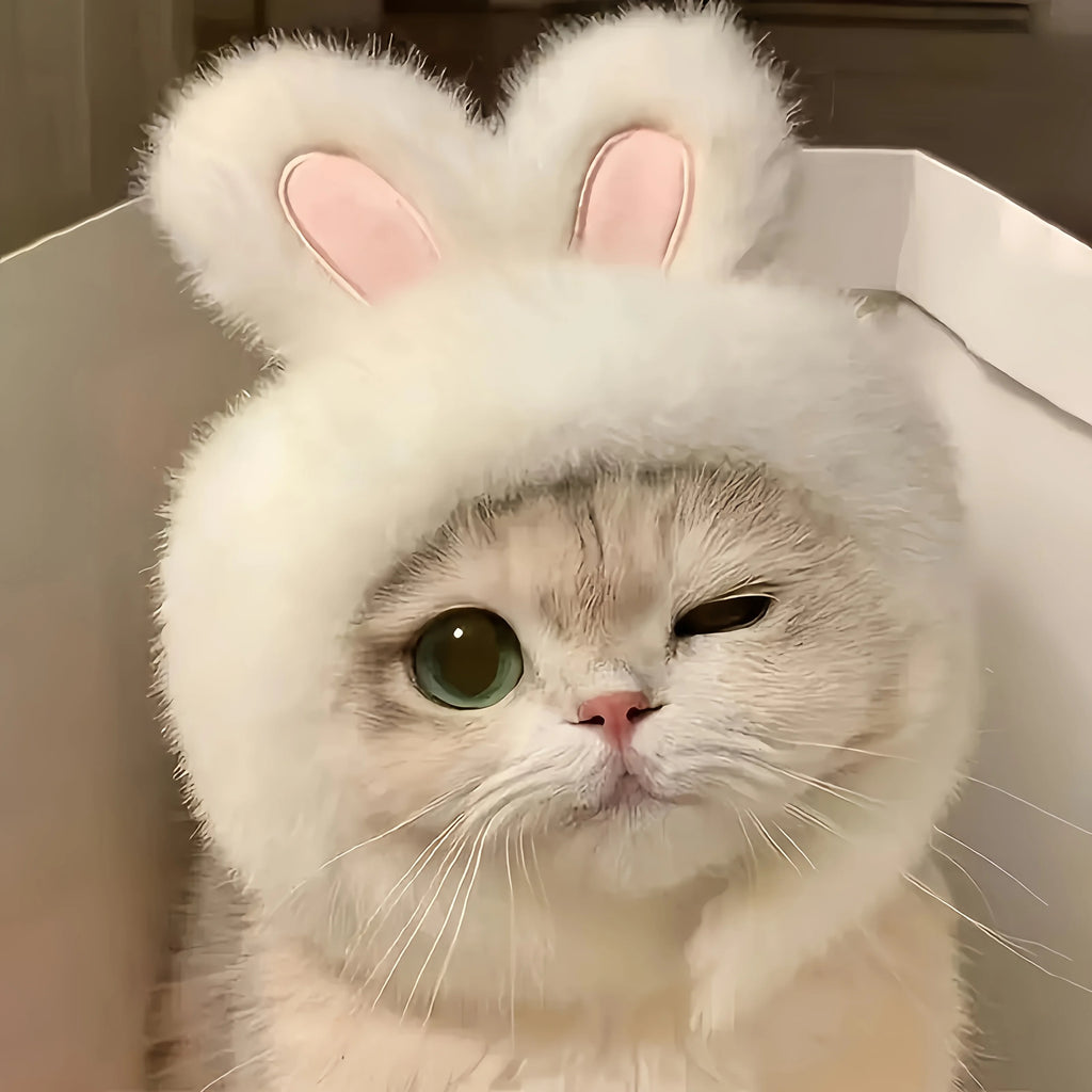 Bunny Ears Pet Hat – Cute Knit Costume for Cats & Small Dogs