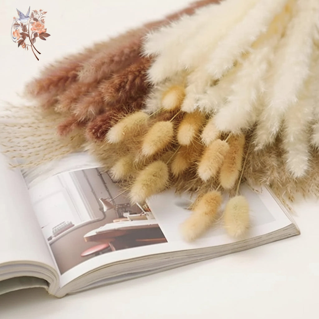 Natural Pampas Grass Bouquet – Boho Bunny Tail Dried Flower Décor
