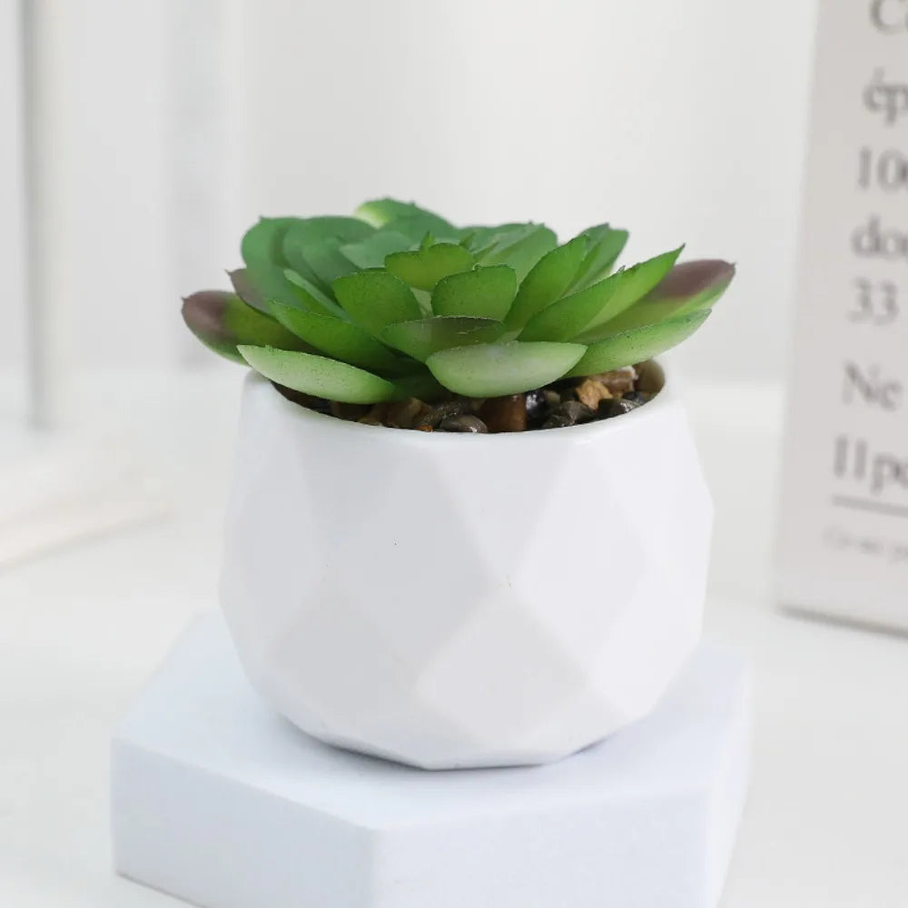 Artificial Succulent Bonsai Plant – Mini Decorative Fake Cactus & Succulent