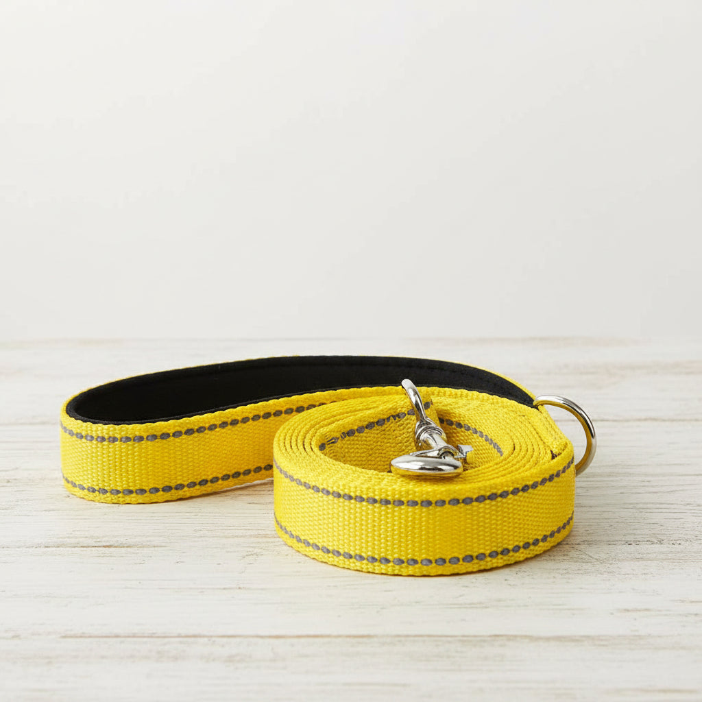 Reflective Pet Leash – Adjustable Walking & Training Lead for Dogs & Cats