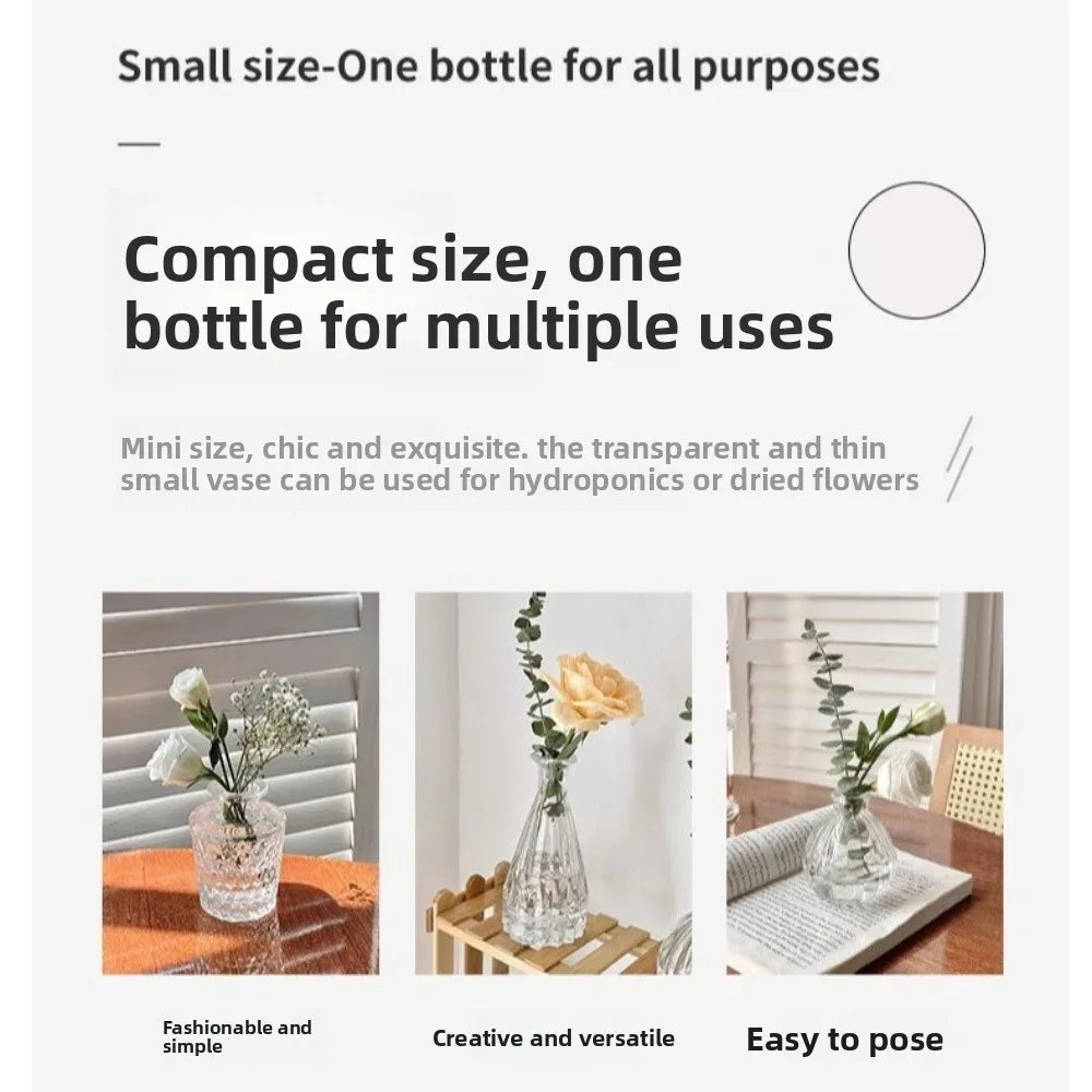 Mini Glass Vase Set – Transparent Hydroponic Flower Vases for Floral Arrangements & Home Decor