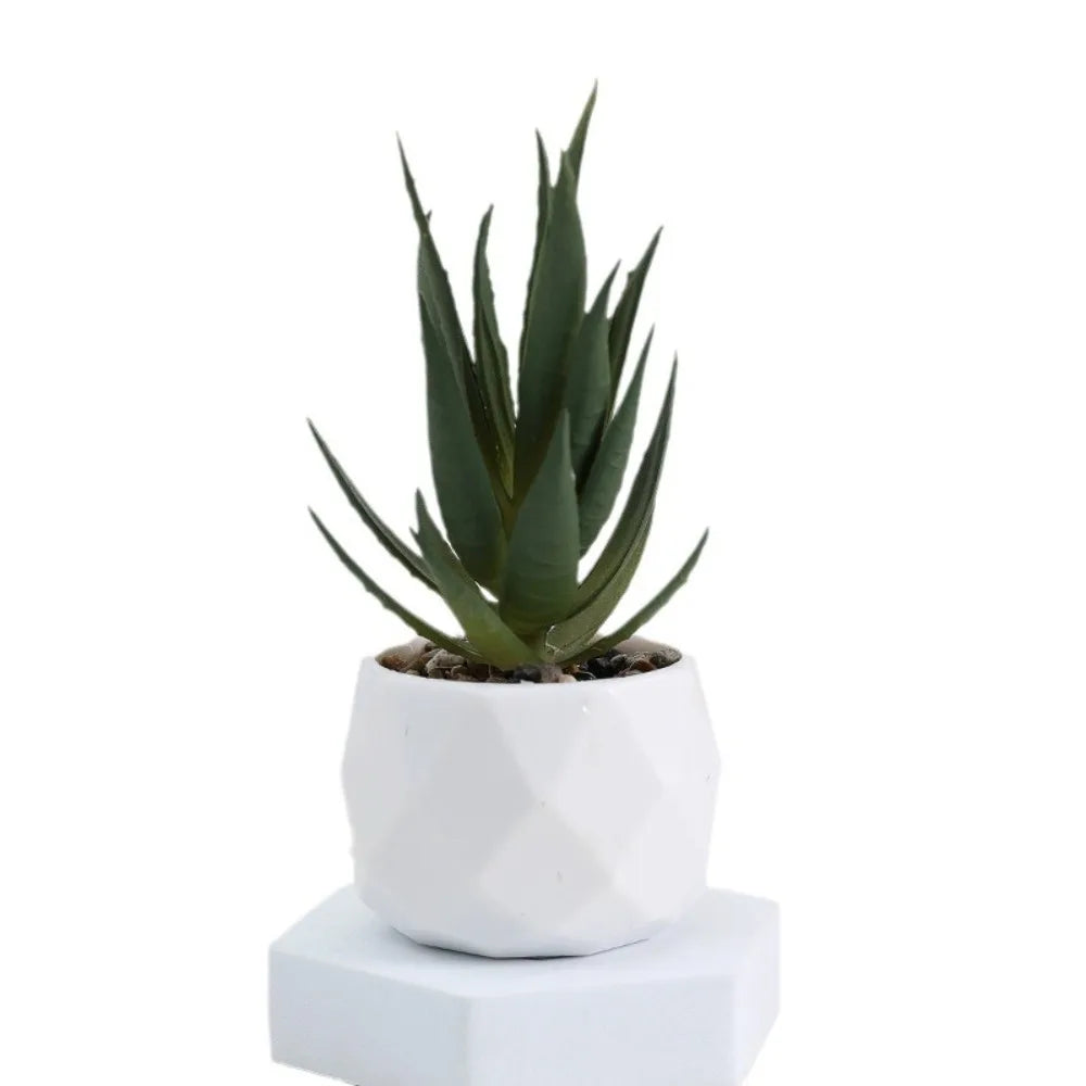 Artificial Succulent Bonsai Plant – Mini Decorative Fake Cactus & Succulent