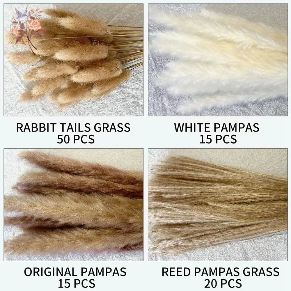 Natural Pampas Grass Bouquet – Boho Bunny Tail Dried Flower Décor