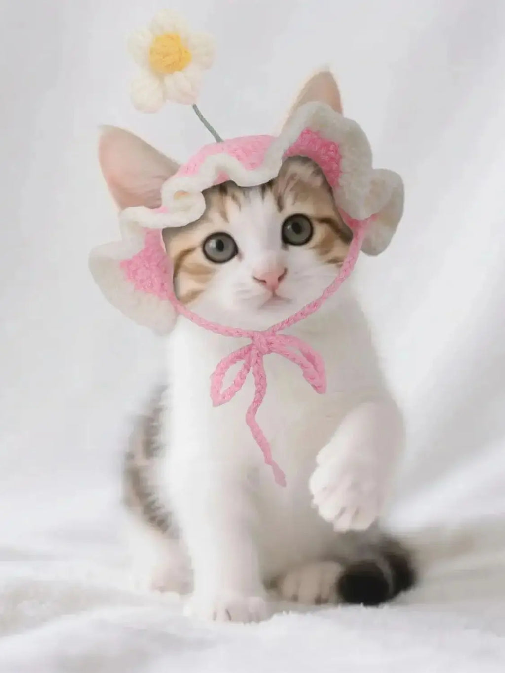 Cute Flower Crochet Pet Hat – Knitted Cap for Cats & Small Dogs