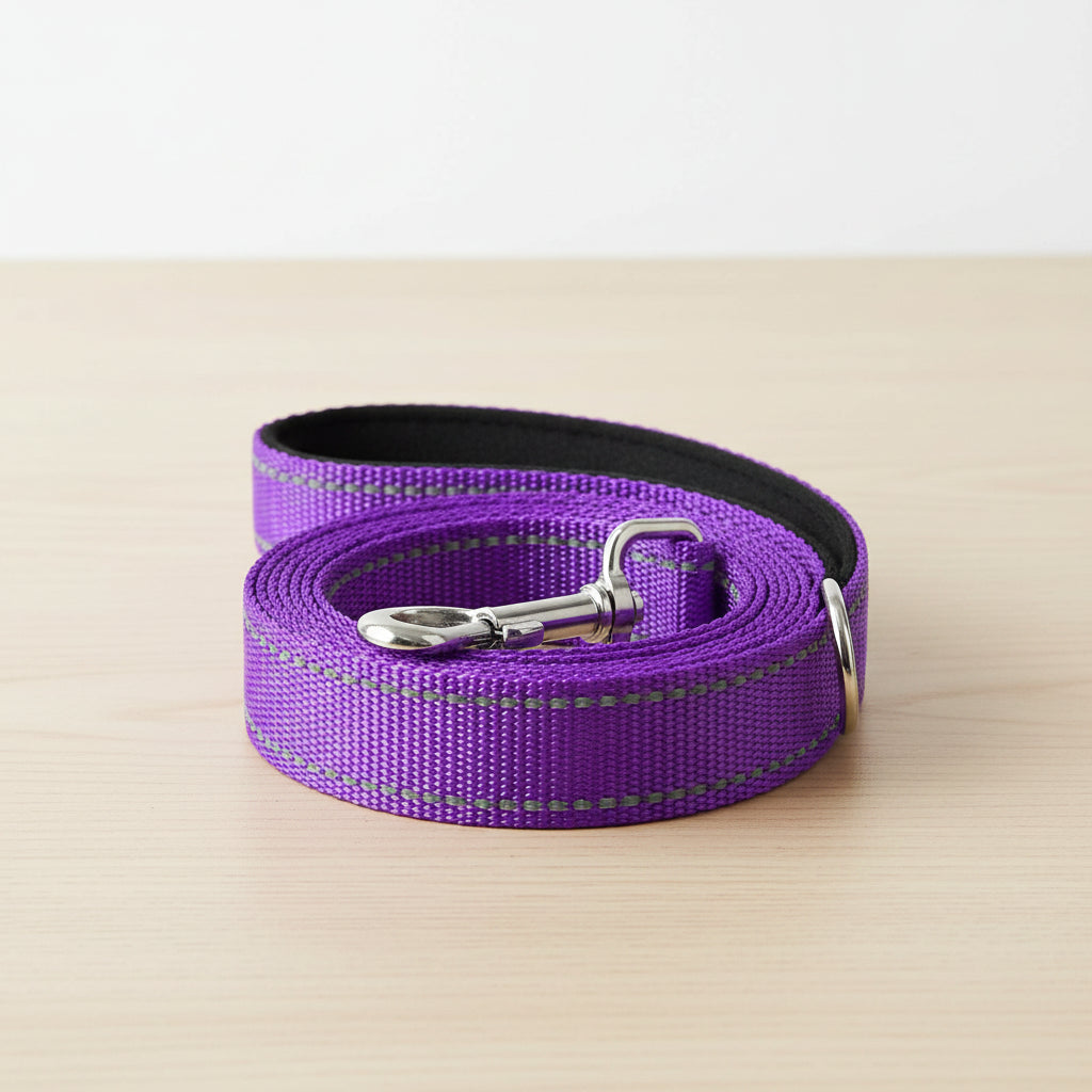 Reflective Pet Leash – Adjustable Walking & Training Lead for Dogs & Cats
