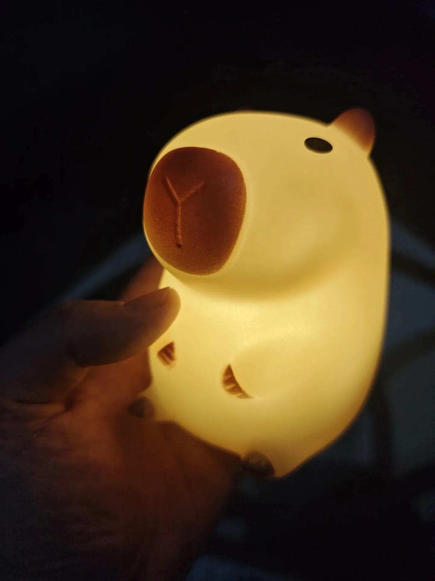 Cute Capybara Night Light – Rechargeable Silicone Bedside Lamp for Kids & Room Decor