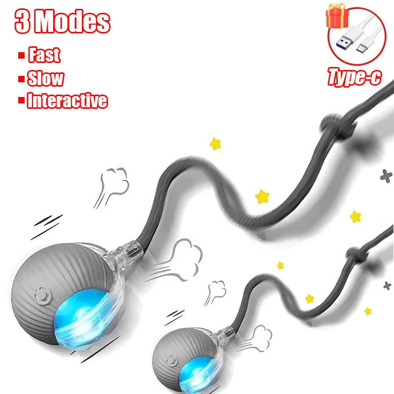 Automatic Interactive Rolling Ball with Faux Tail – Rechargeable Smart Cat & Dog Toy