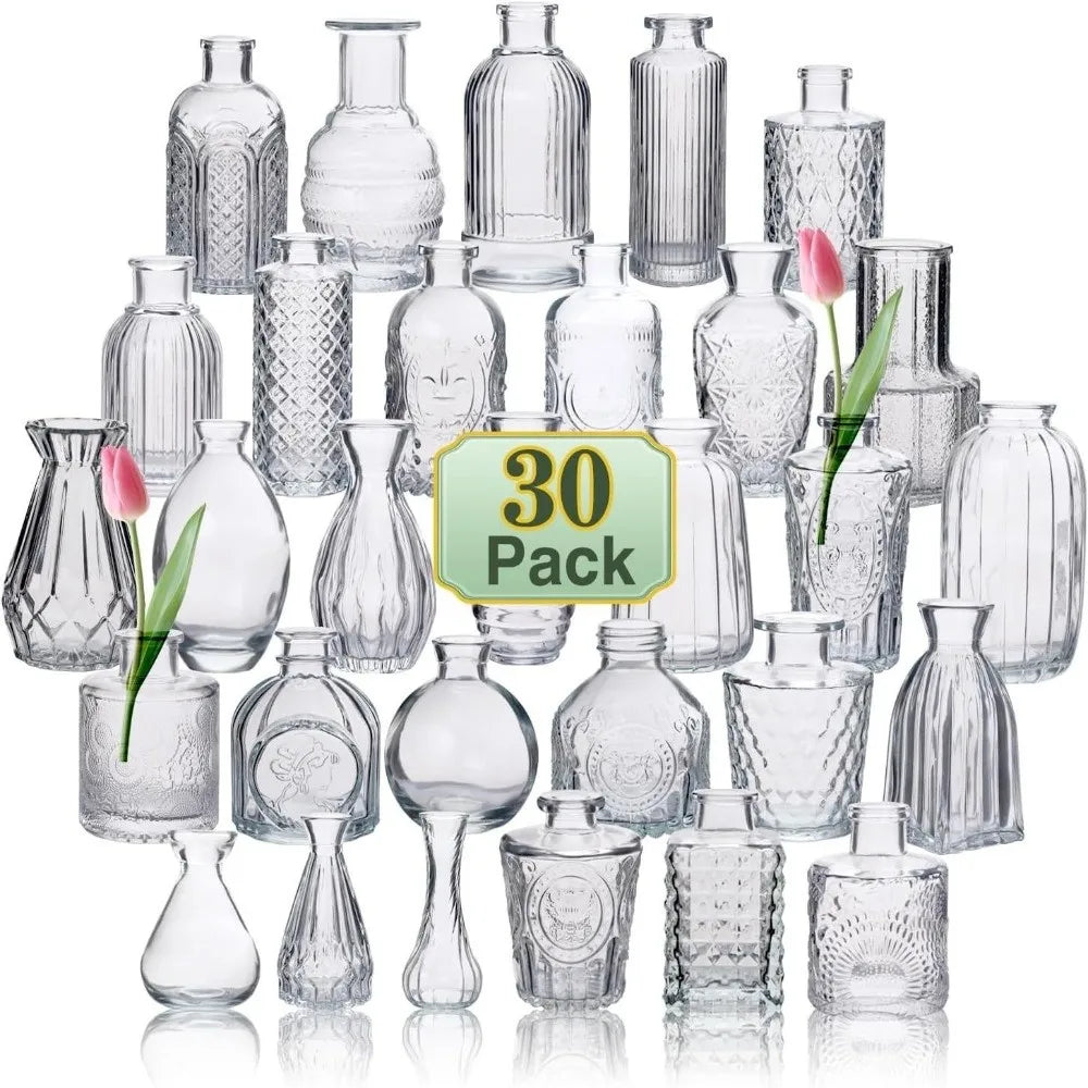 Mini Glass Vase Set – Transparent Hydroponic Flower Vases for Floral Arrangements & Home Decor