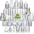 Mini Glass Vase Set – Transparent Hydroponic Flower Vases for Floral Arrangements & Home Decor