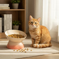 2-Pack Elevated Pet Bowls – 15° Tilted Feeding Bowls for Cats & Small Dogs
