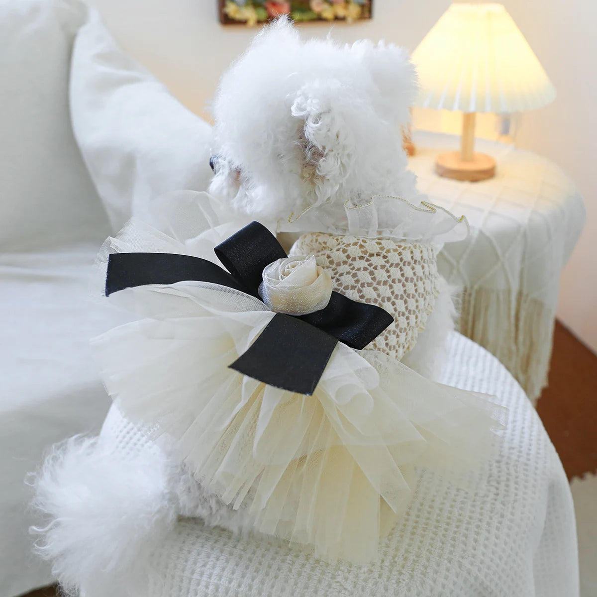 Luxury Pearl Lace Pet Wedding Dress – Coco Style Tutu for Small Dogs & Cats