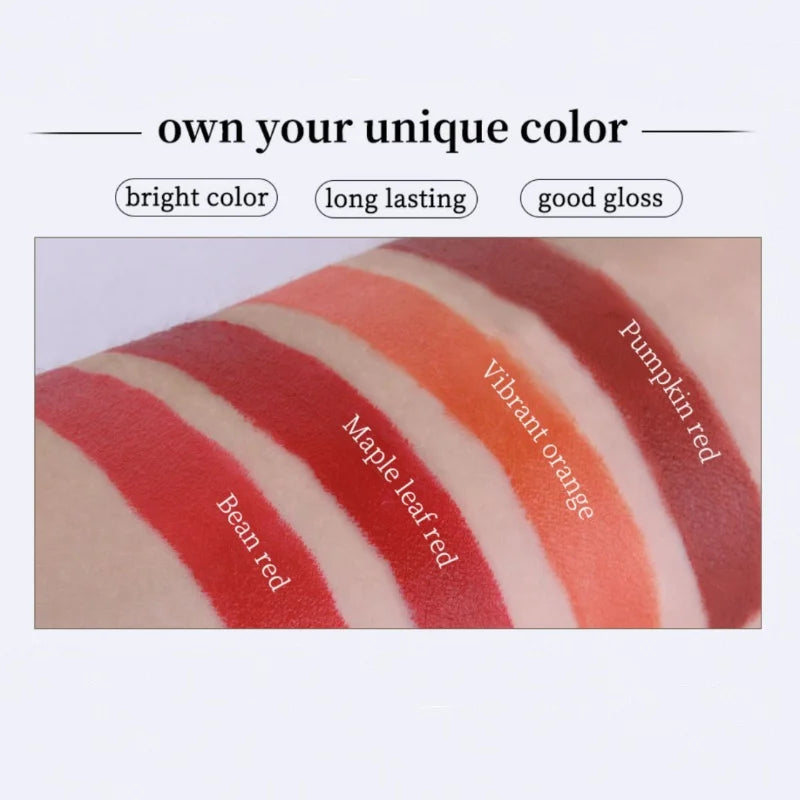 Set 4 Pièces Rouge à Lèvres Waterproof – Longue Tenue, Fini Mat Transparent, Cadeau Idéal Saint-Valentin