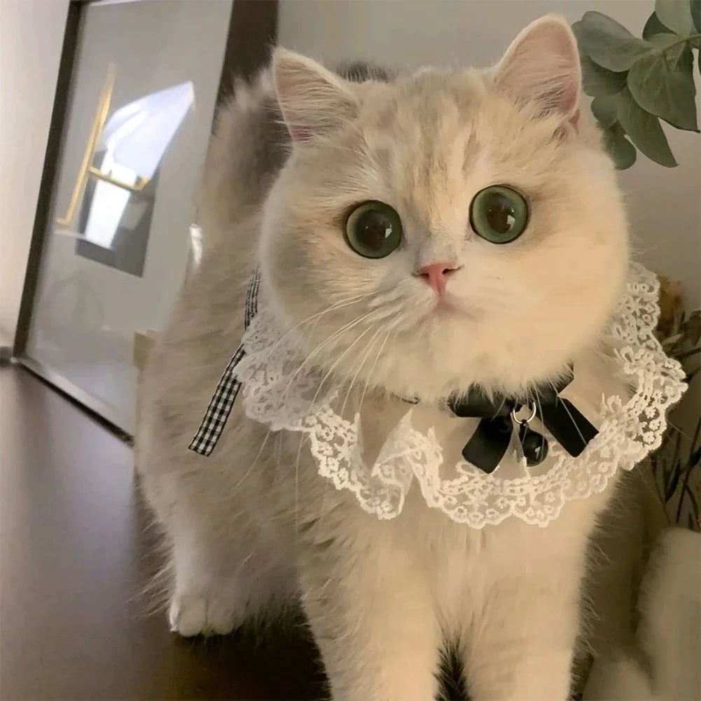 Elegant Lace Pearl Pet Collar with Bow – Adjustable Neck Scarf for Cats & Dogs