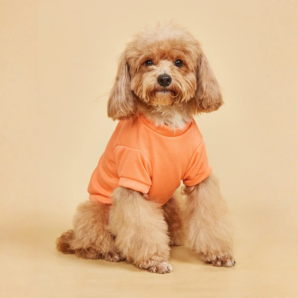Breathable Dog T-Shirt – Lightweight Summer Vest for Dogs