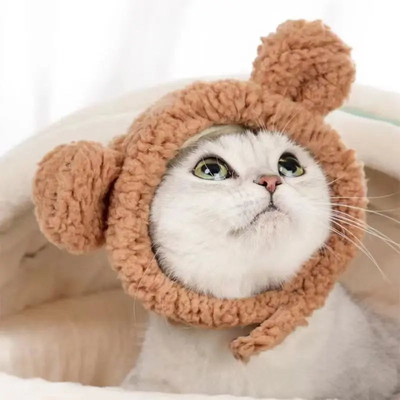 Cute Bear & Bunny Hooded Pet Hat – Soft Velvet Winter Costume for Cats & Dogs