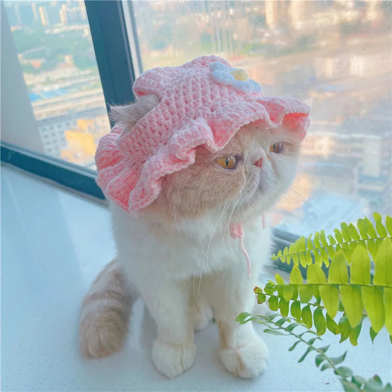 Cute Pet Beanie for Cats & Small Dogs – Winter Hat for Photos & Parties
