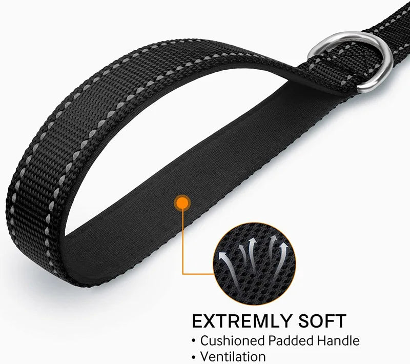 Reflective Pet Leash – Adjustable Walking & Training Lead for Dogs & Cats