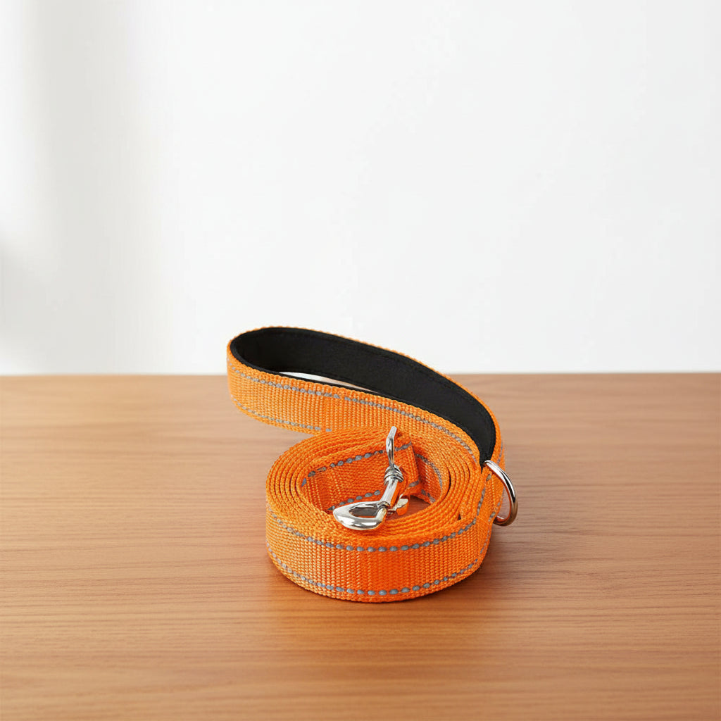 Reflective Pet Leash – Adjustable Walking & Training Lead for Dogs & Cats