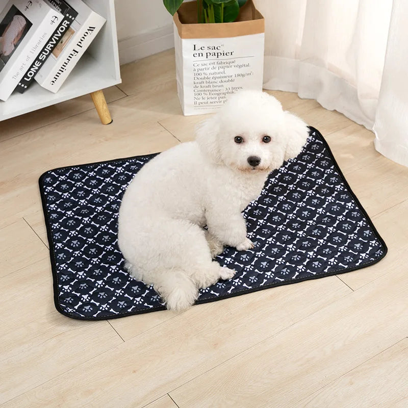 Reusable Washable Dog Pee Pad – Absorbent Pet Training & Protection Mat