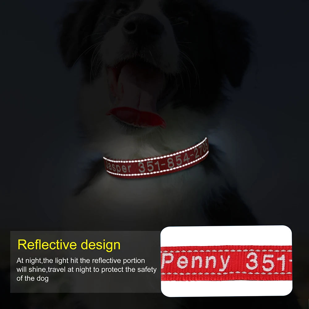 Personalized Embroidered Reflective Dog & Cat Collar – Custom Name & Phone ID