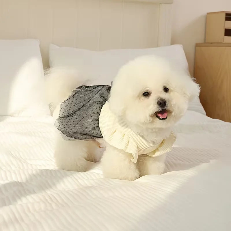 Luxury Lace Dog Dress for Small Dogs – Elegant Bow Puppy Outfit