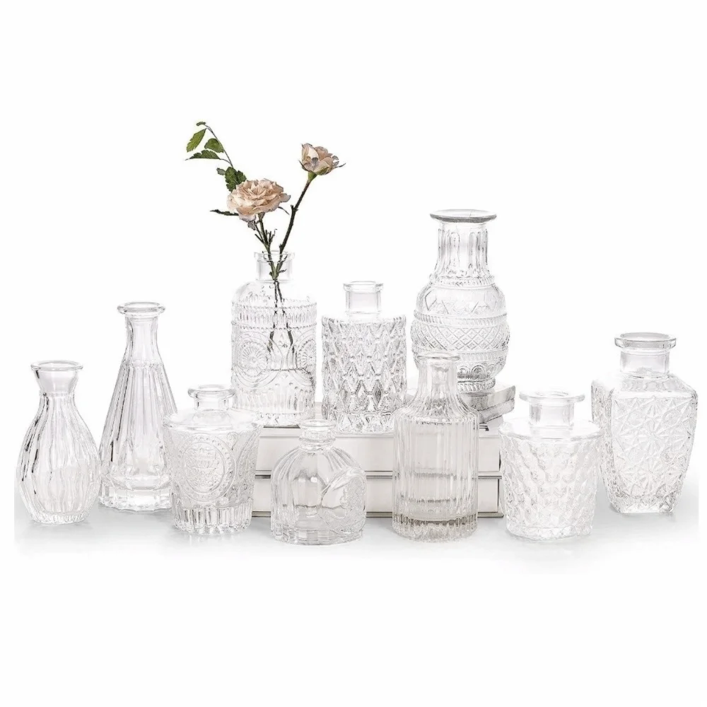Mini Glass Vase Set – Transparent Hydroponic Flower Vases for Floral Arrangements & Home Decor