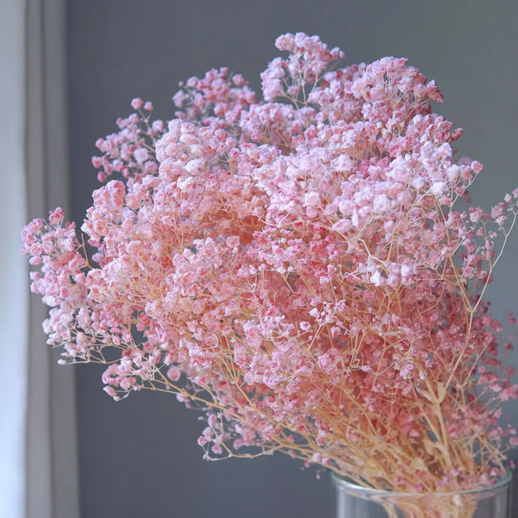 Natural Preserved Dried Baby’s Breath Flowers – Decorative Gypsophila Bouquet