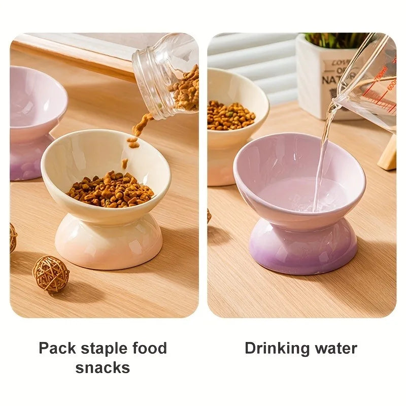 2-Pack Elevated Pet Bowls – 15° Tilted Feeding Bowls for Cats & Small Dogs