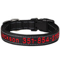 Personalized Embroidered Reflective Dog & Cat Collar – Custom Name & Phone ID