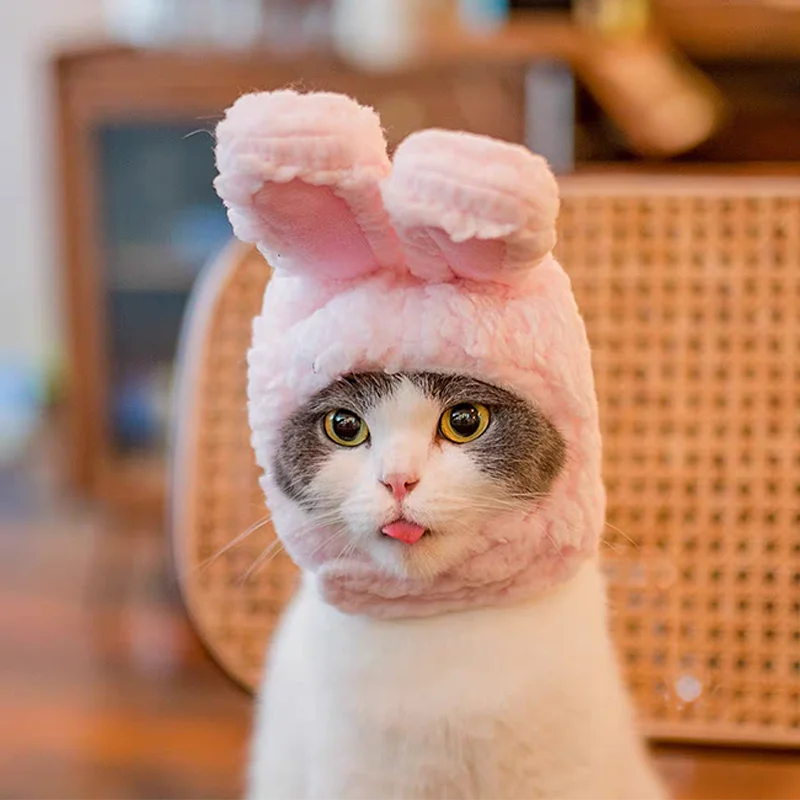Cute Bear & Bunny Hooded Pet Hat – Soft Velvet Winter Costume for Cats & Dogs