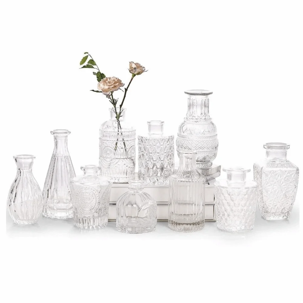 Mini Glass Vase Set – Transparent Hydroponic Flower Vases for Floral Arrangements & Home Decor