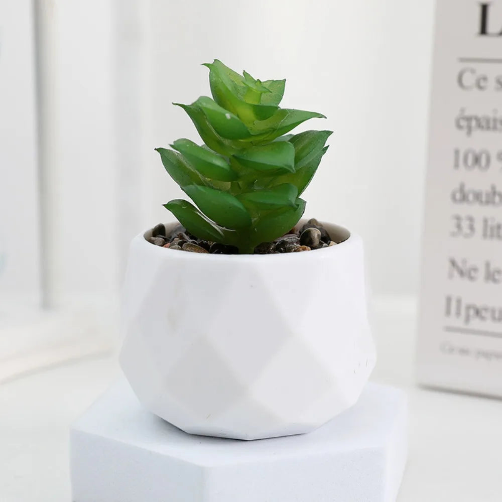 Artificial Succulent Bonsai Plant – Mini Decorative Fake Cactus & Succulent