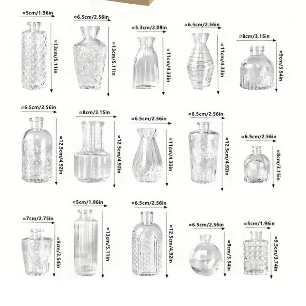 Mini Glass Vase Set – Transparent Hydroponic Flower Vases for Floral Arrangements & Home Decor