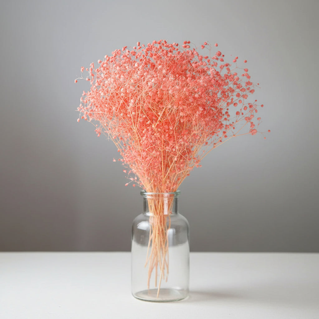 Natural Preserved Dried Baby’s Breath Flowers – Decorative Gypsophila Bouquet