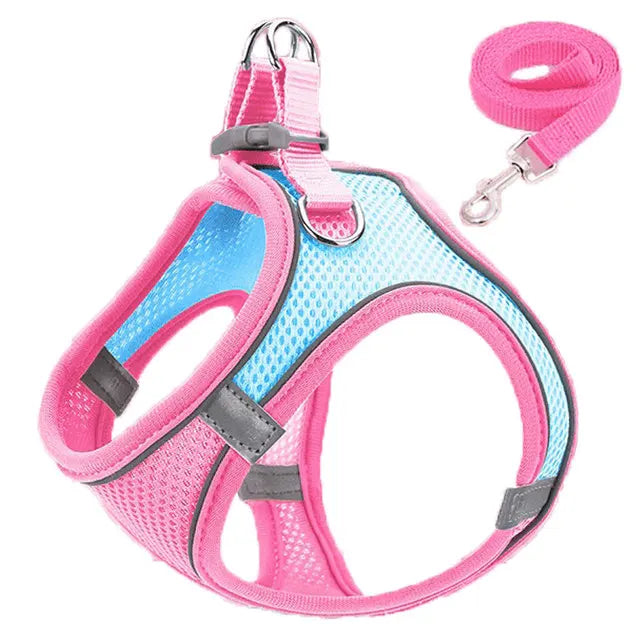 Reflective Adjustable Pet Harness & Leash Set – For Cats & Small Dogs