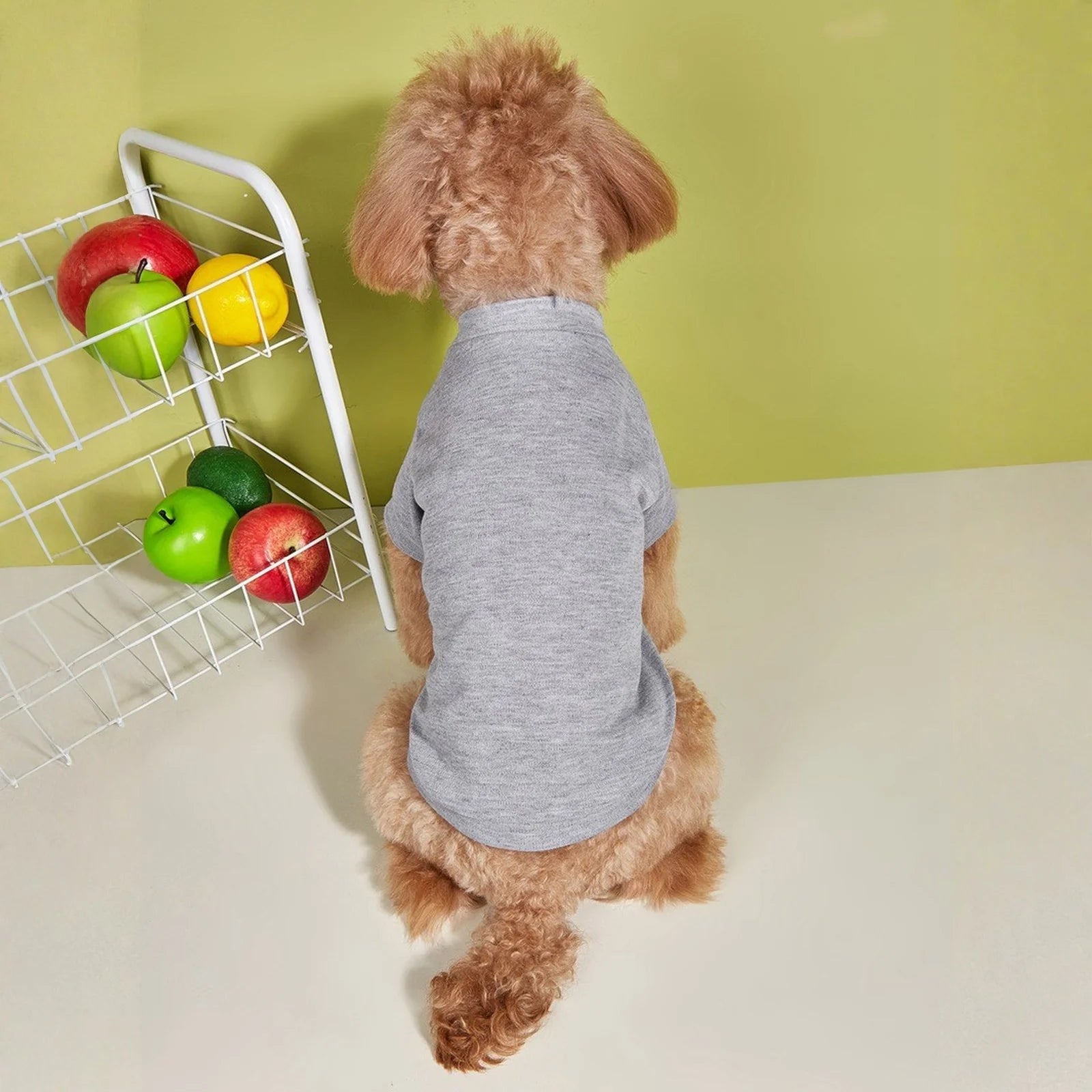 Breathable Dog T-Shirt – Lightweight Summer Vest for Dogs