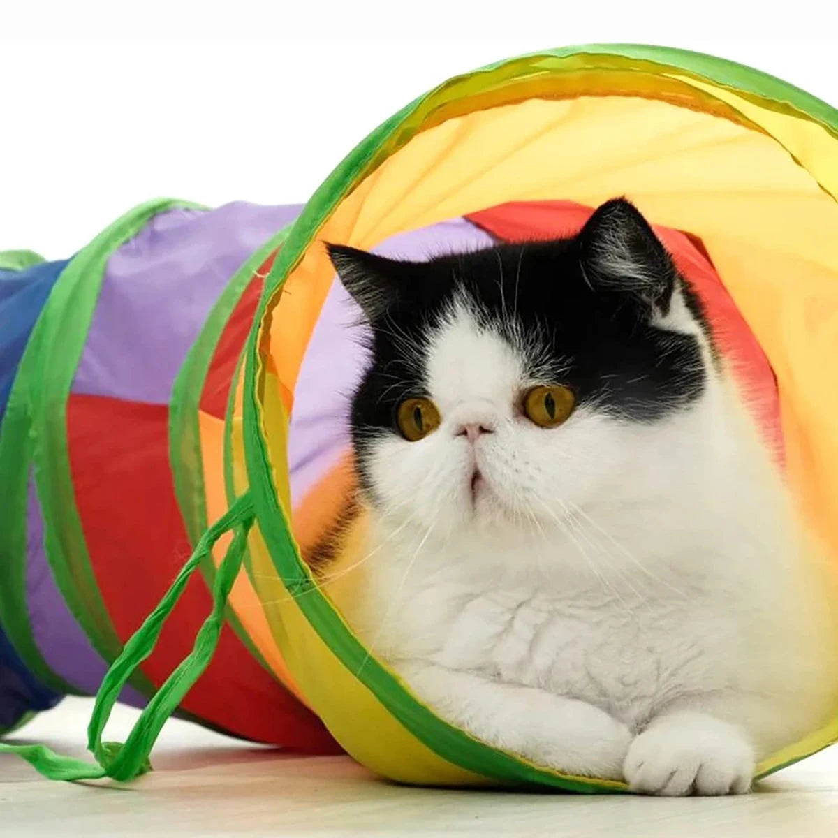 Foldable Cat Tunnel – Interactive Play Tunnel for Cats & Kittens