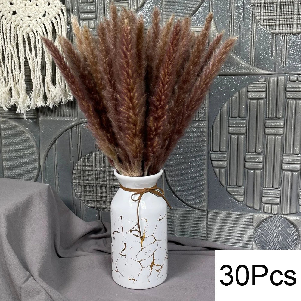 Natural Pampas Grass Bouquet – Boho Bunny Tail Dried Flower Décor