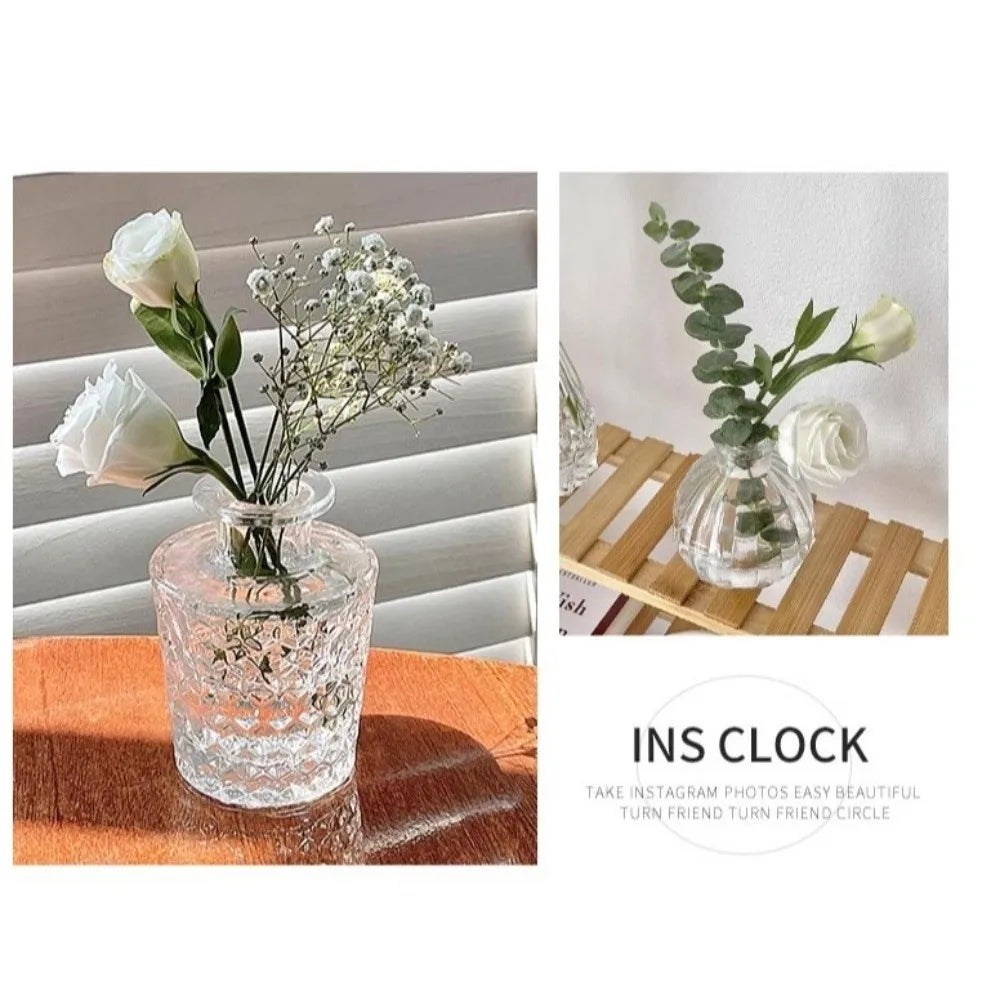 Mini Glass Vase Set – Transparent Hydroponic Flower Vases for Floral Arrangements & Home Decor