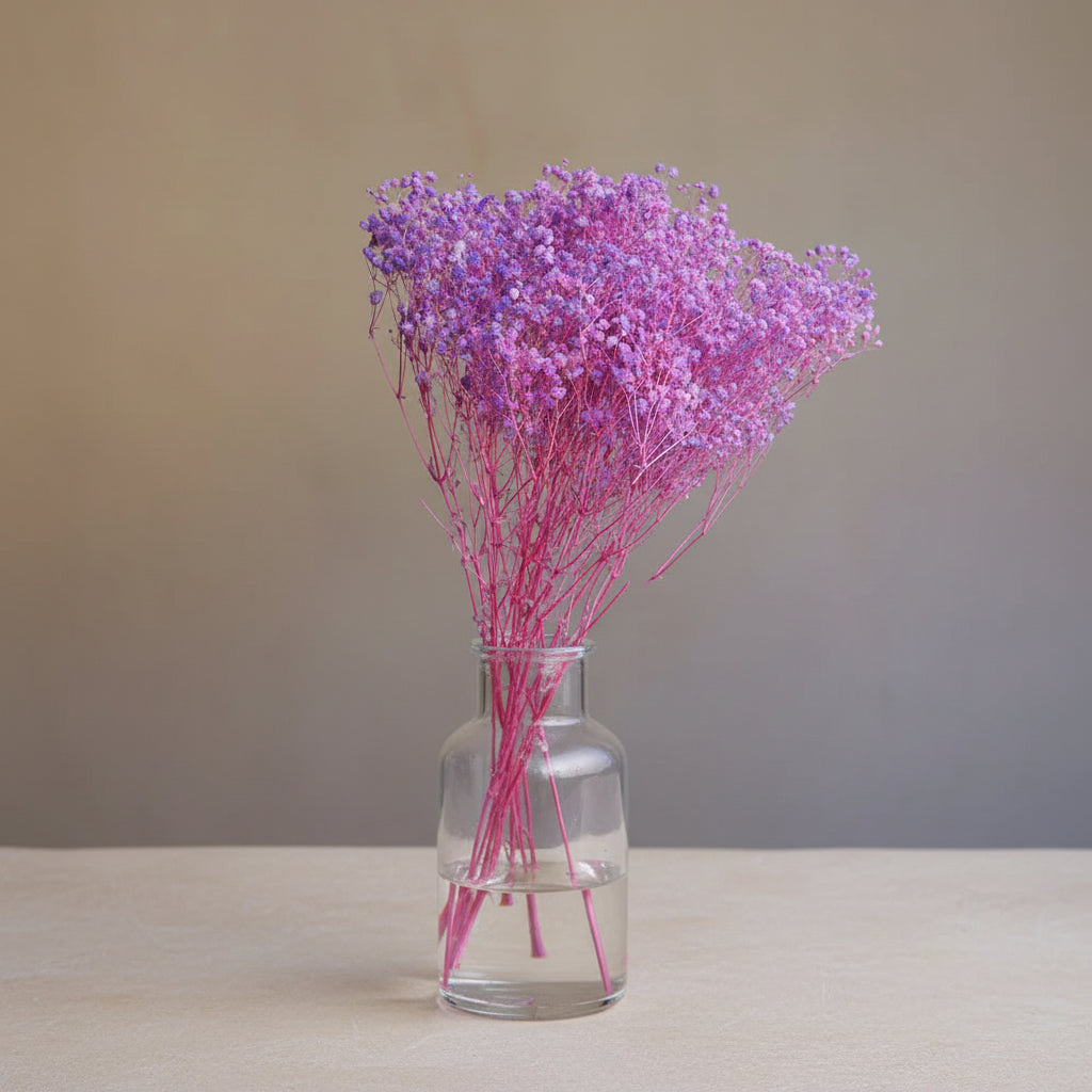 Natural Preserved Dried Baby’s Breath Flowers – Decorative Gypsophila Bouquet
