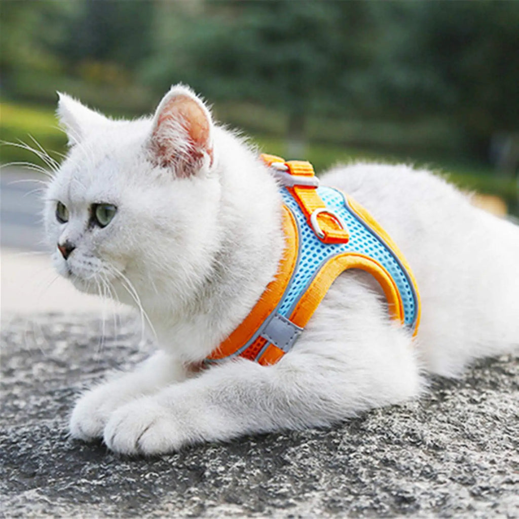 Reflective Adjustable Pet Harness & Leash Set – For Cats & Small Dogs