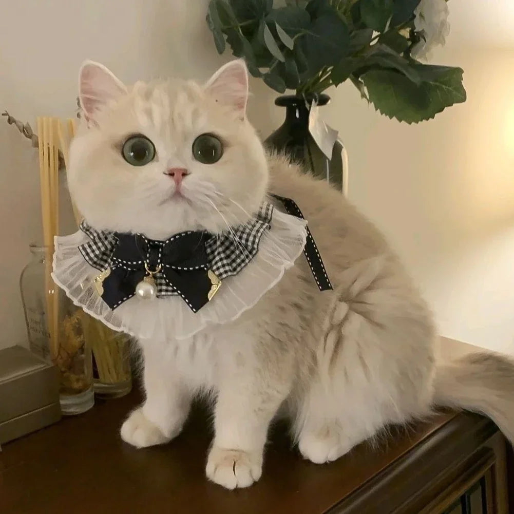 Elegant Lace Pearl Pet Collar with Bow – Adjustable Neck Scarf for Cats & Dogs