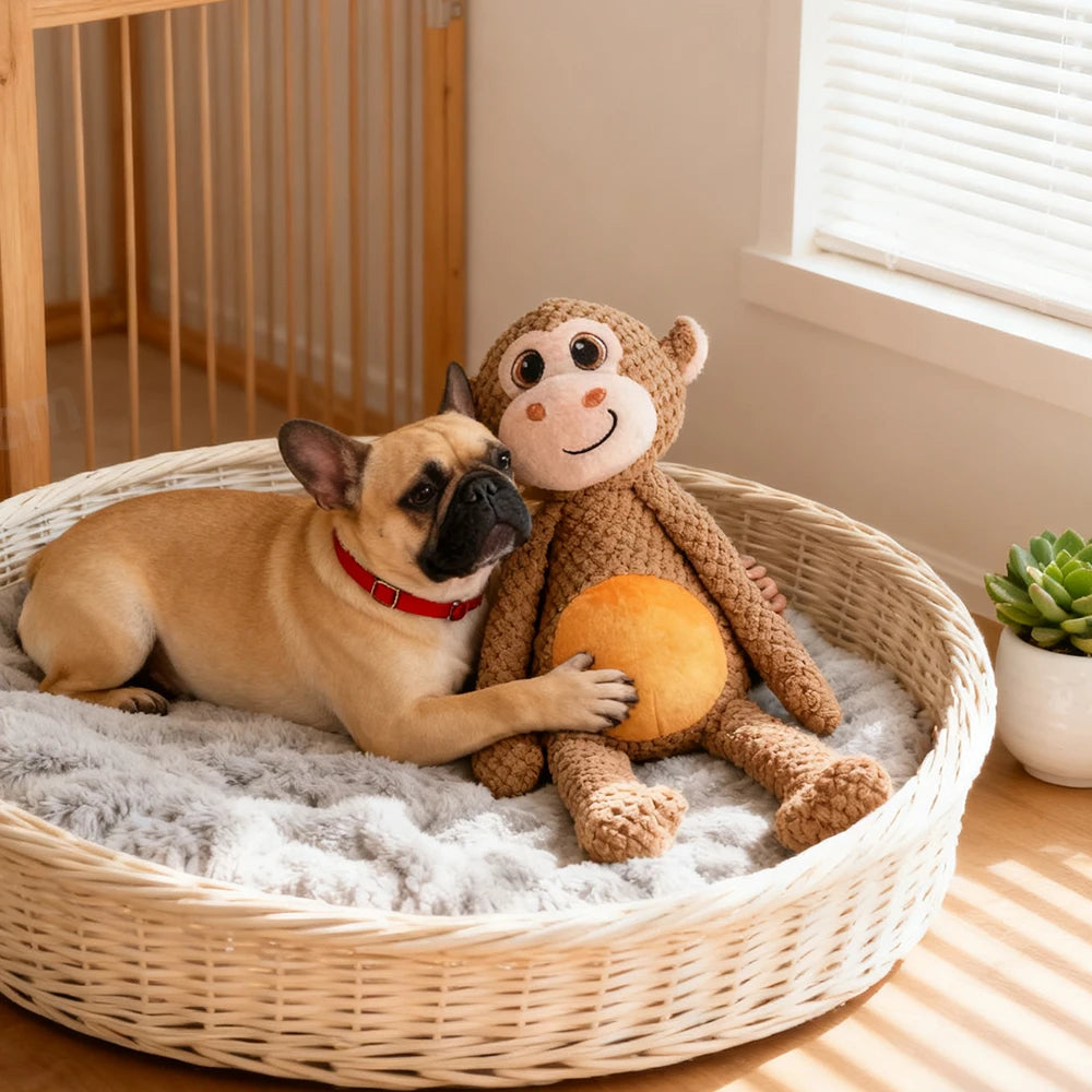 Durable Long-Legged Monkey Plush Dog Toy – Squeaky Interactive Chew Toy