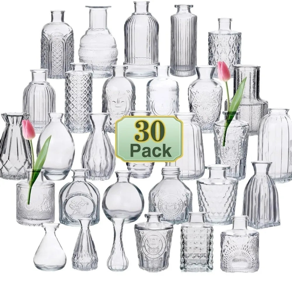 Mini Glass Vase Set – Transparent Hydroponic Flower Vases for Floral Arrangements & Home Decor