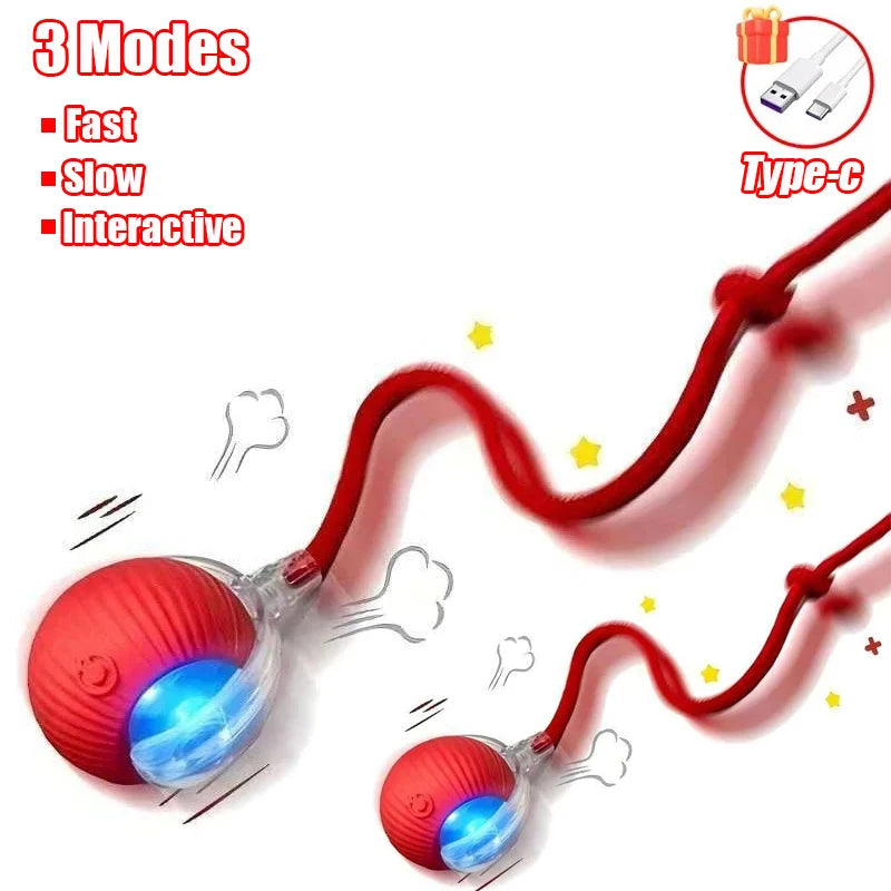 Automatic Interactive Rolling Ball with Faux Tail – Rechargeable Smart Cat & Dog Toy