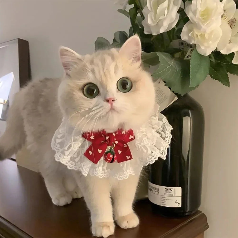 Elegant Lace Pearl Pet Collar with Bow – Adjustable Neck Scarf for Cats & Dogs